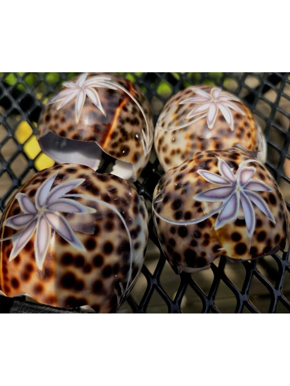 4 Vintage Cowrie Shell Napkin Rings Carved Flower Spotted Tiki Tropical Beach